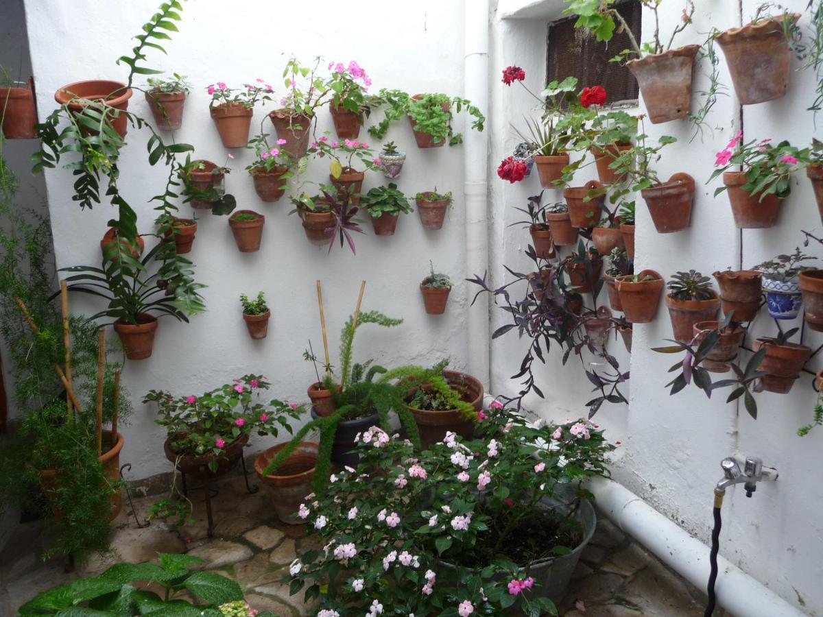 Casa Sol Villa Vejer de la Frontera Bagian luar foto